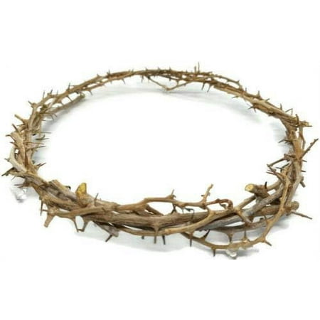 Genuine Crown of Thorns 8"