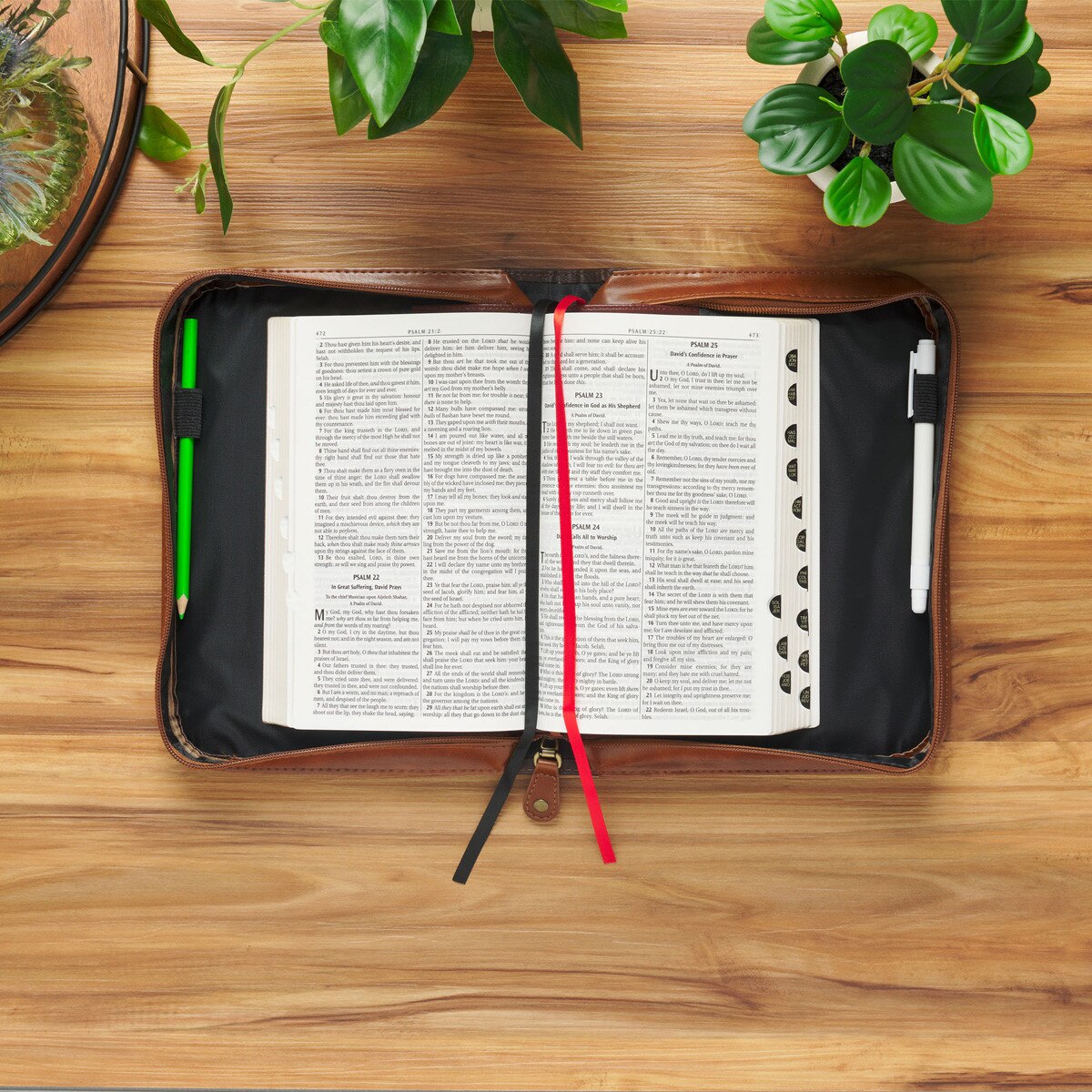 Open medium Bible inside Man of God honey-brown and espresso faux leather cover on wooden table with plants nearby