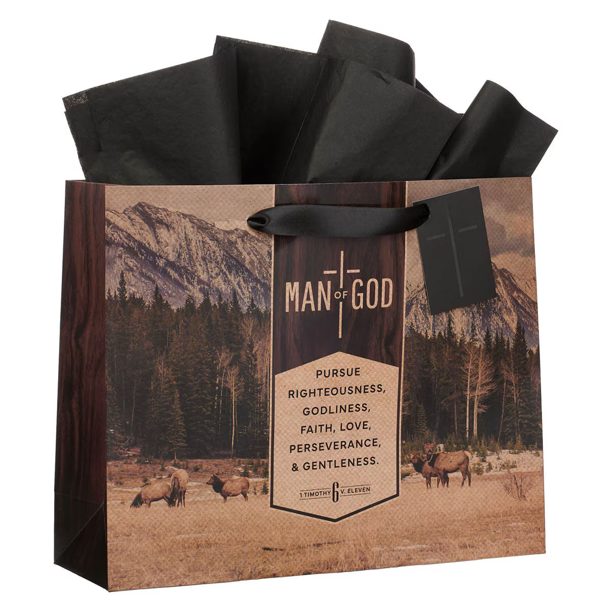 Man of God Brown Trailhead Large Landscape Gift Bag - 1 Timothy 6:11