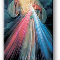 Divine Mercy Chaplet Magnetic Book Mark - Unique Catholic Gifts