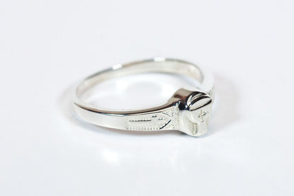 0513 - Anillo de cálculo