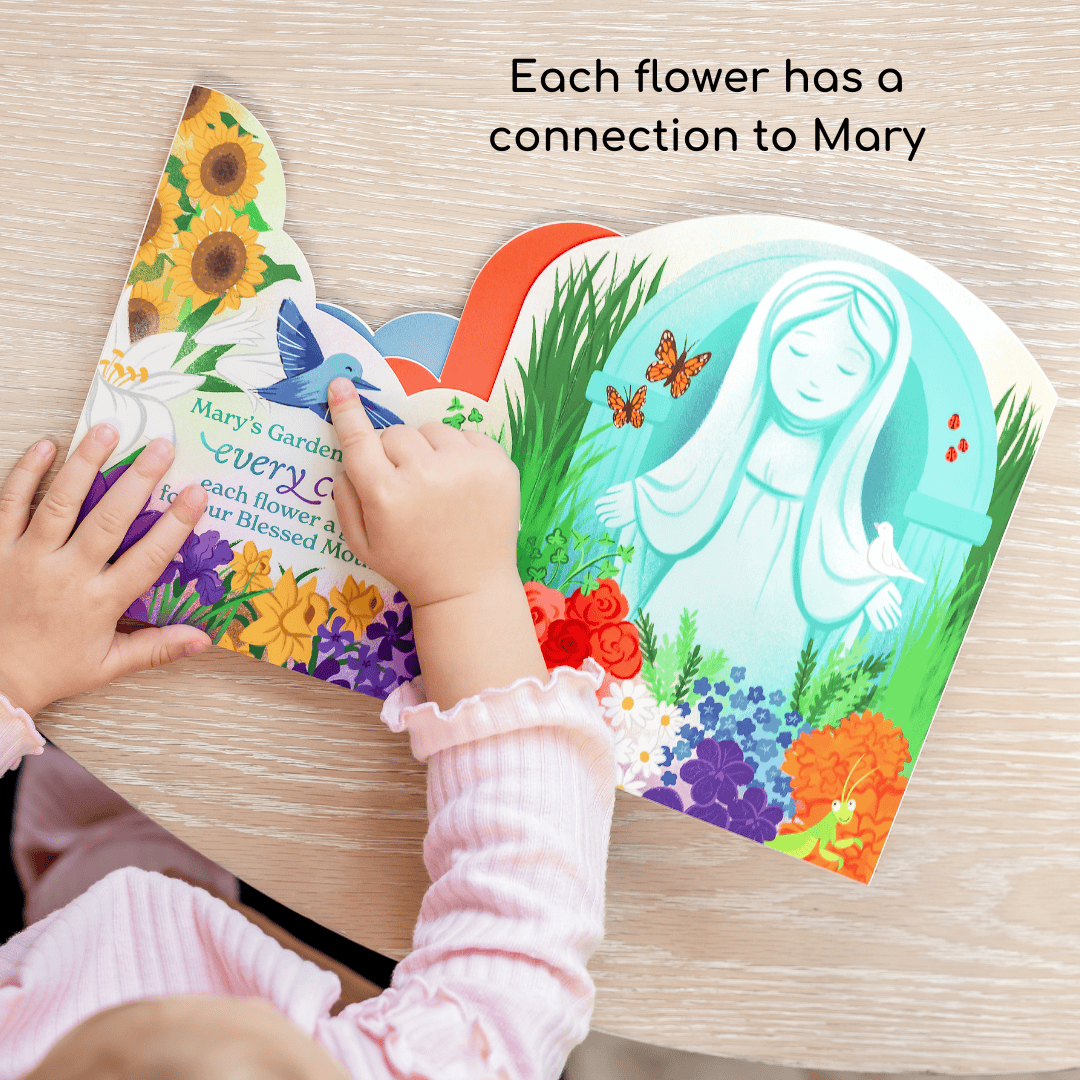 Mary's Colorful Garden Board Book - JMJs Catholic Store, Inc