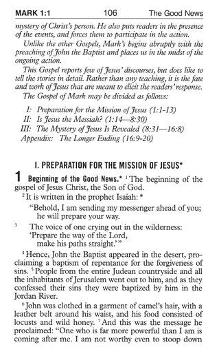 New Testament (Pocket Size) New Catholic Version Brown