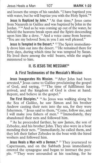 New Testament (Pocket Size) New Catholic Version Brown