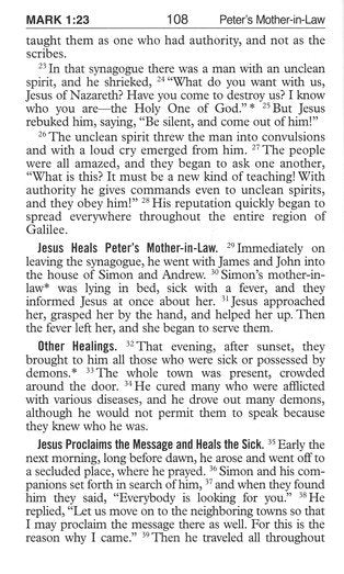 New Testament (Pocket Size) New Catholic Version Brown