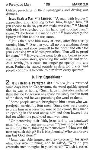 New Testament (Pocket Size) New Catholic Version Brown