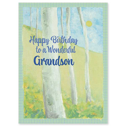 Happy Birthday to a Wonderful Grandson Greeting Card