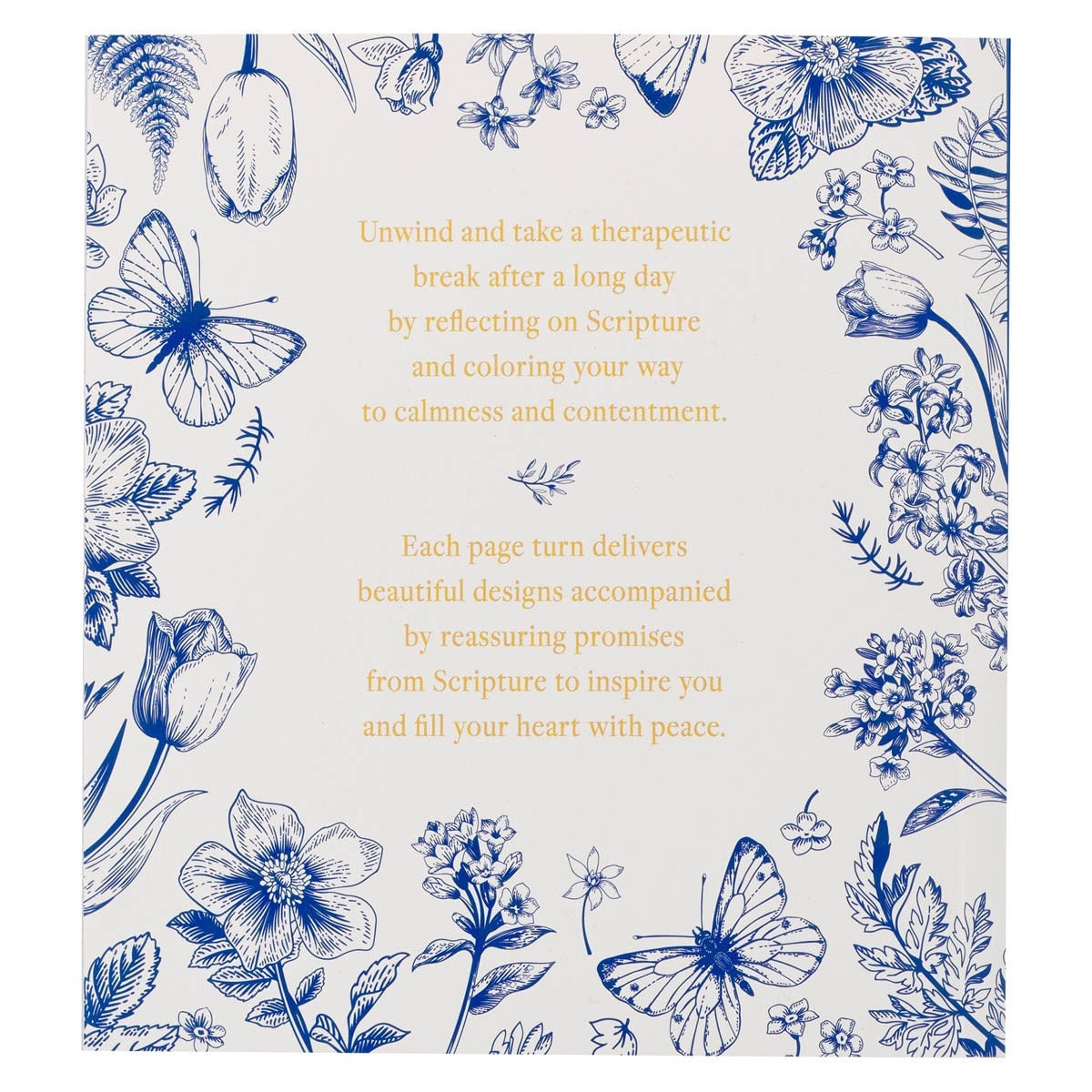 Back cover of blue floral coloring book with inspirational Scripture promises and delicate butterfly and flower illustrations