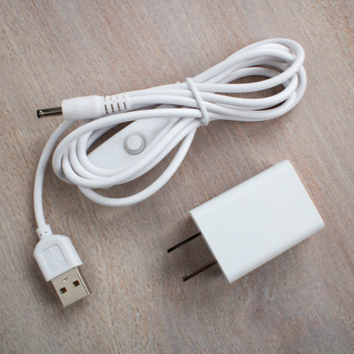 White USB power cable with inline on/off switch and white USB wall adapter on wooden surface