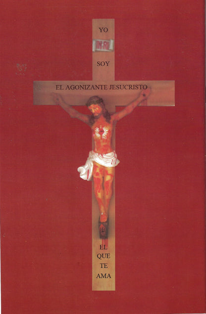 Front cover of Devocionario De La Preciosísima Sangre De Nuestro Señor Jesucristo with crucifixion image and Spanish text on red background