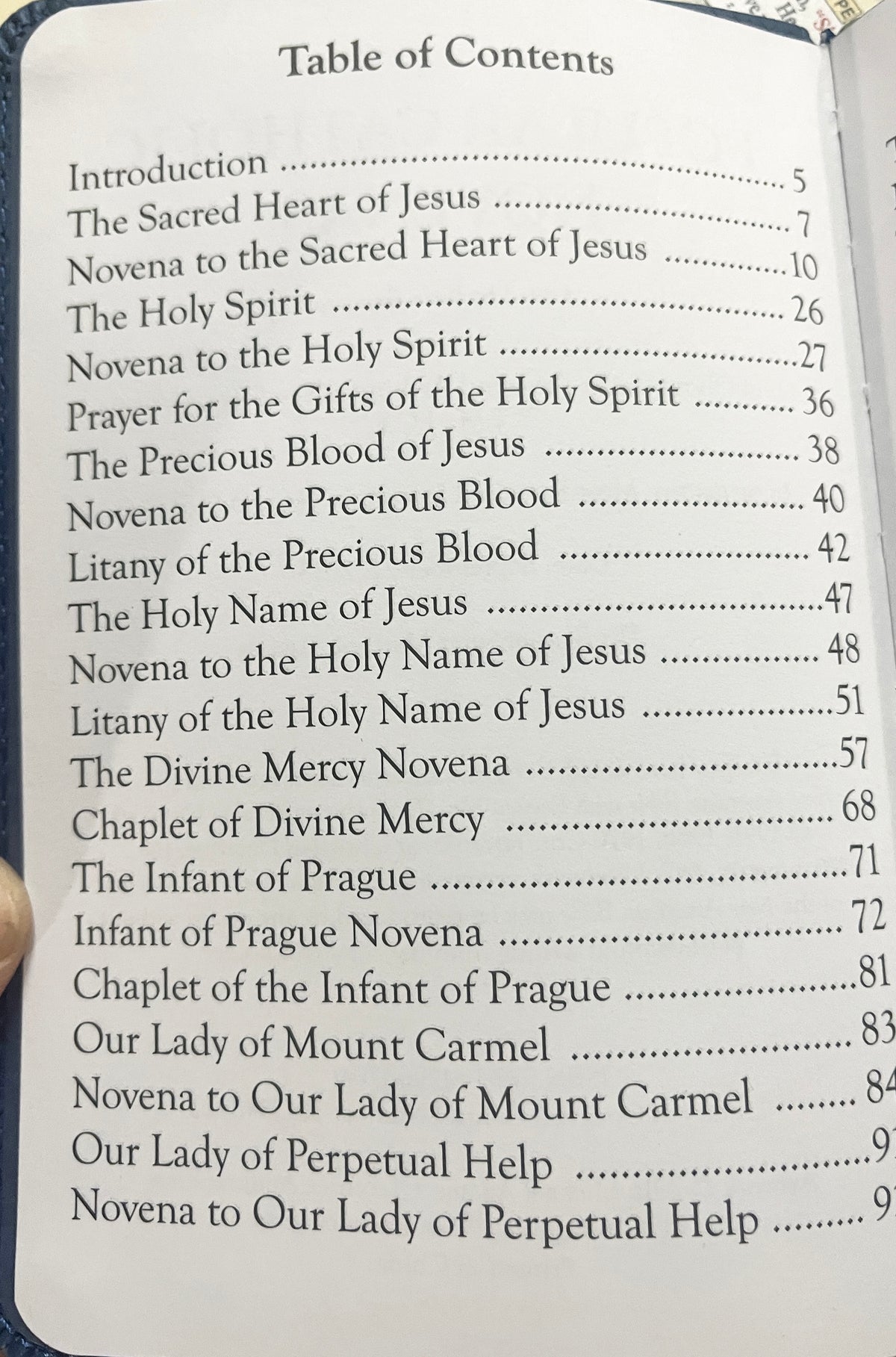 Table of contents page showing various Catholic novenas including Sacred Heart, Holy Spirit, Divine Mercy, Infant of Prague, and Our Lady prayers.