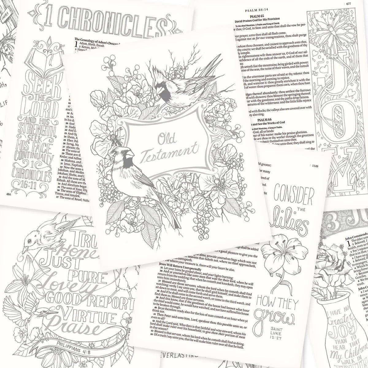 Pages from Bright Pink Faux Leather Hardcover KJV My Creative Bible with floral and bird-themed coloring designs and scripture verses