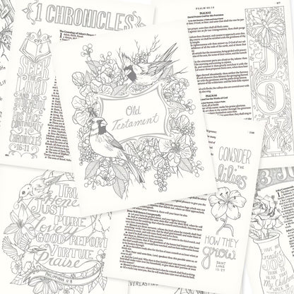 Pages from Bright Pink Faux Leather Hardcover KJV My Creative Bible with floral and bird-themed coloring designs and scripture verses