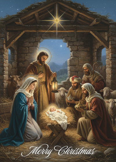 Merry Christmas Christmas Card