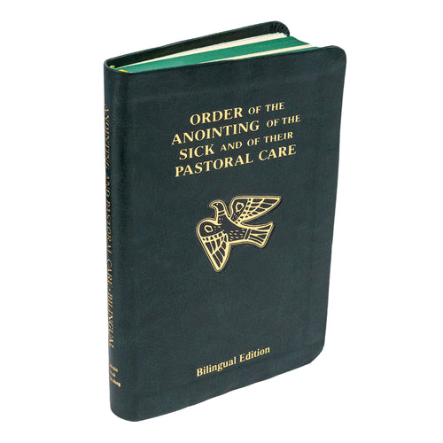 Pastoral Care Of The Sick (Bilingual Edition)