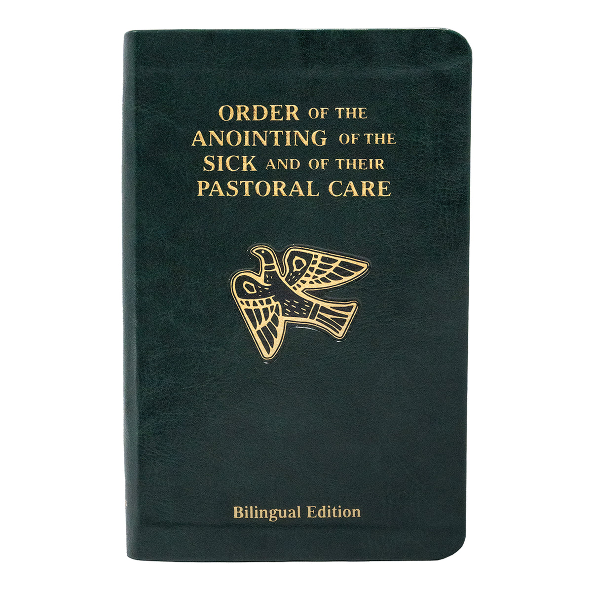 Pastoral Care Of The Sick (Bilingual Edition)