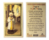 Saint John Vianney Laminated Holy Card (Plastic Covered) - Unique Catholic Gifts