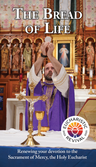 Catholic priest in purple vestments elevating the Eucharist during Mass in ornate church sanctuary with Divine Mercy image.