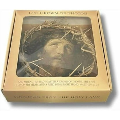 Genuine Crown of Thorns 8"