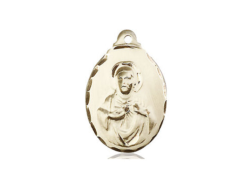 14kt Gold Filled Scapular Pendant on a 18 inch Gold Filled Light Curb Chain - Unique Catholic Gifts