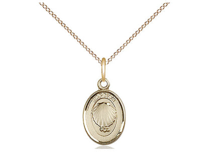 14kt Gold Filled Baptism Pendant on a 18 inch Gold Filled Light Curb Chain - Unique Catholic Gifts