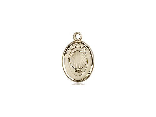 14kt Gold Filled Baptism Pendant on a 18 inch Gold Filled Light Curb Chain - Unique Catholic Gifts