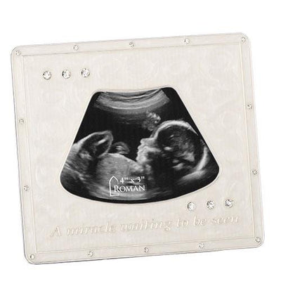 Ultra Sound Picture Frame (4 x 3 