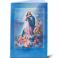 Immaculate Conception Novena and Prayers - Unique Catholic Gifts