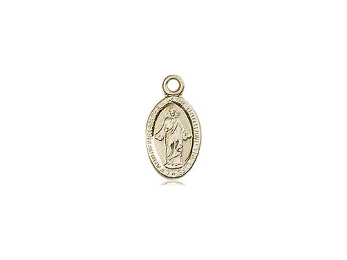 14kt Gold Filled Scapular Pendant on a 18 inch Gold Filled Light Curb Chain - Unique Catholic Gifts