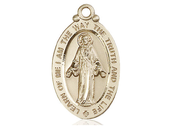 14kt Gold Filled Scapular Pendant on a 24 inch Gold Plate Heavy Curb Chain - Unique Catholic Gifts