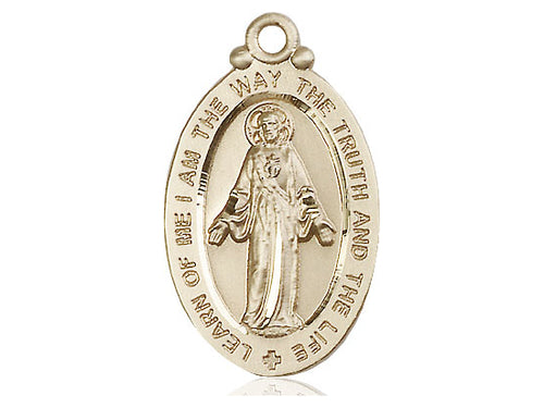 14kt Gold Filled Scapular Pendant on a 24 inch Gold Plate Heavy Curb Chain - Unique Catholic Gifts