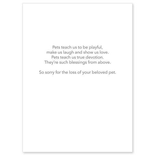 Our Pets Teach Us So Much General Pet Sympathy Card ( Size (in inches): 4.375 x 5.9375 ") - Unique Catholic Gifts