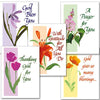 Caring Thank You Collection Assorted Thank You Cards - Unique Catholic Gifts