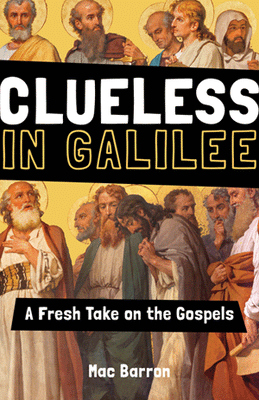 Clueless in Galilee A Fresh Take on the Gospels by Mac Barron - Unique Catholic Gifts