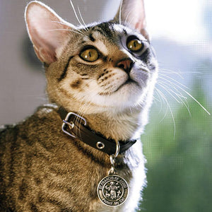 Cat Pet Medal - Unique Catholic Gifts