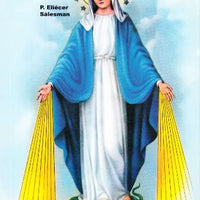 El Libro De La Virgen - Unique Catholic Gifts