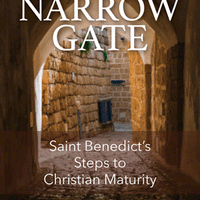 Enter the Narrow Gate Saint Benedict's Steps to Christian Maturity by Susan Muto - Unique Catholic Gifts