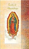 Biography Card of Our Lady of Guadalupe - Unique Catholic Gifts