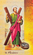 Biography Card of St. Andrew - Unique Catholic Gifts