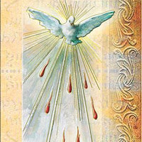 Biography Card of Holy Spirit - Unique Catholic Gifts