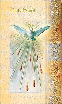 Biography Card of Holy Spirit - Unique Catholic Gifts