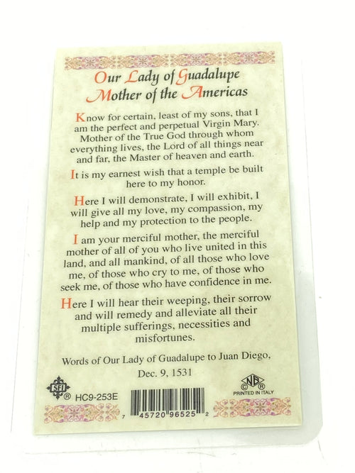 Our Lady of Guadalupe Mother of Americas Laminated Holy Card (Plastic Covered) - Unique Catholic Gifts