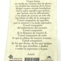 Nuestra Senora de Lourdes Tarjeta Sagrada laminada (Cubierta de Plástico) - Unique Catholic Gifts