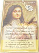 St. Therese of Lisieux Chaplet Beads - Unique Catholic Gifts