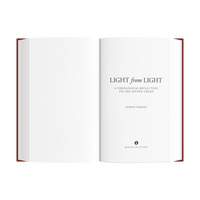 Light from Light: A Theological Reflection on the Nicene Creed By Robert Barron - Unique Catholic Gifts