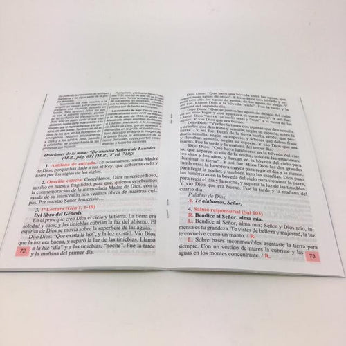 Pan De la Palabra Misal Febrero 2019 - Unique Catholic Gifts