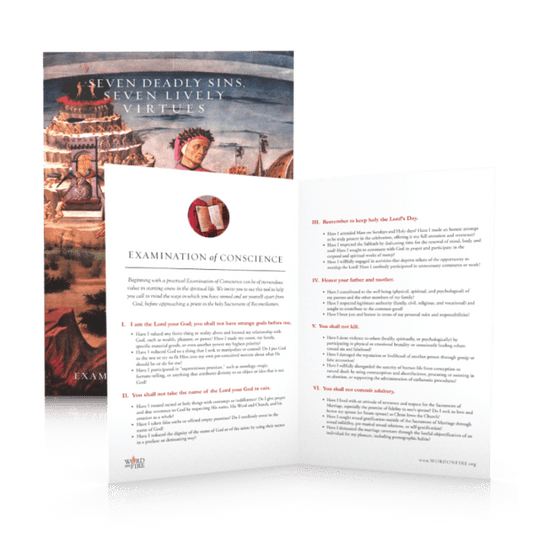 Seven Deadly Sins Examination of Conscience - Unique Catholic Gifts