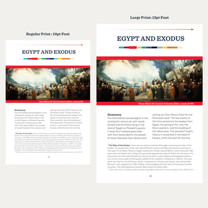 The Great Adventure Catholic Holy Bible Large Print. - Unique Catholic Gifts