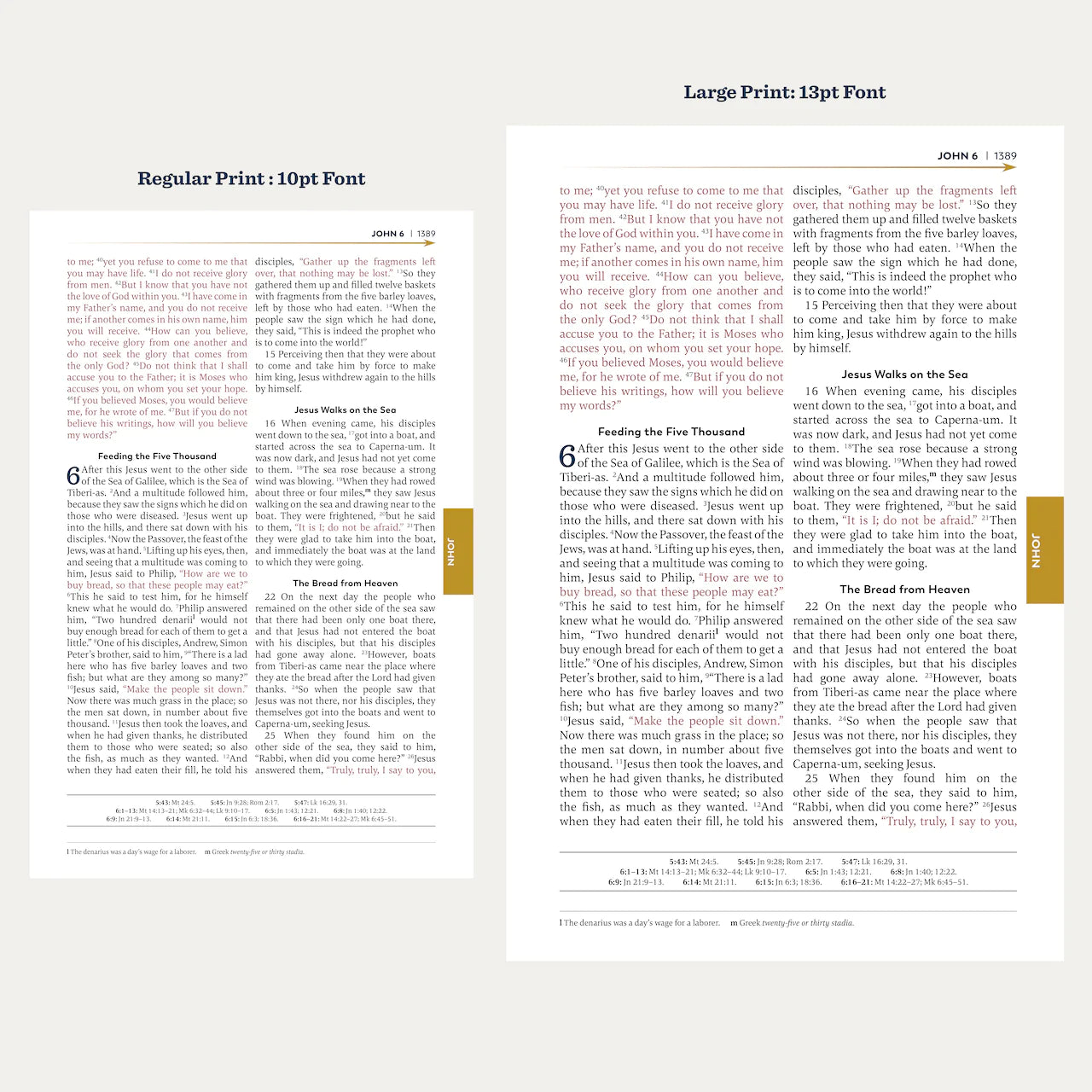 The Great Adventure Catholic Holy Bible Large Print. - Unique Catholic Gifts