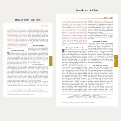 The Great Adventure Catholic Holy Bible Large Print. - Unique Catholic Gifts